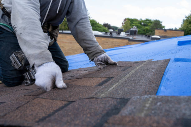 Best Metal Roofing Contractor  in Concord, MO