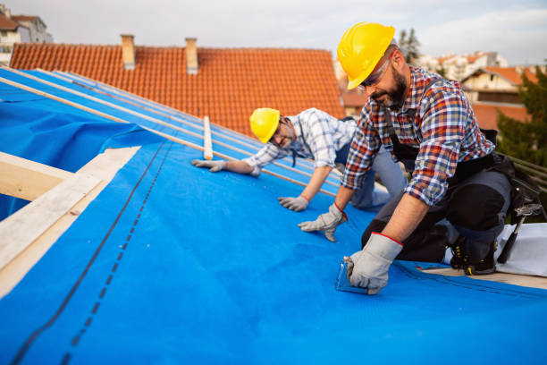 Roof Gutter Cleaning in Concord, MO