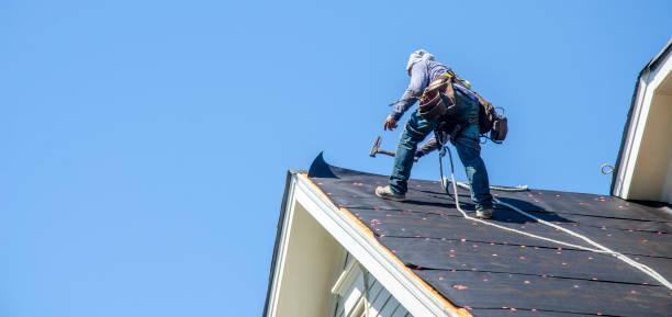 Best Roof Maintenance Services  in Concord, MO